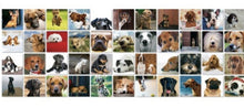 Afbeelding in Gallery-weergave laden, Geheugenspel Honden - CooleCadeau