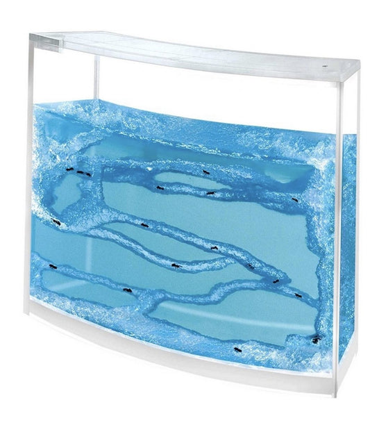 Mieren Aquarium - CooleCadeau