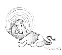 Afbeelding in Gallery-weergave laden, Opvouwbare luidspreker betty - wit - CooleCadeau