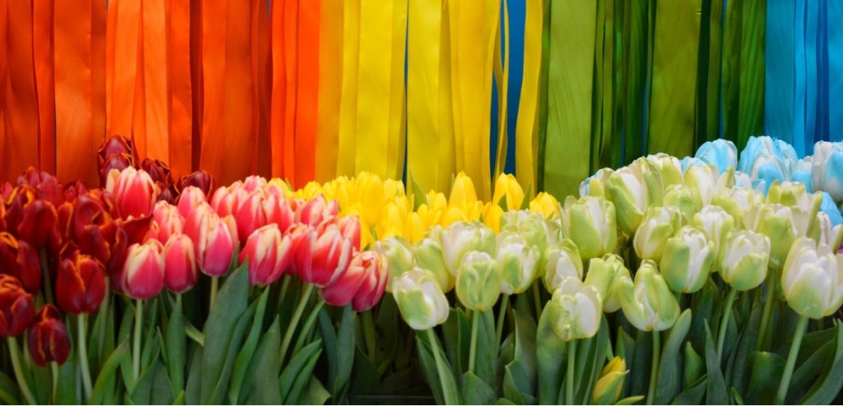 Lente Cadeaus | CooleCadeau