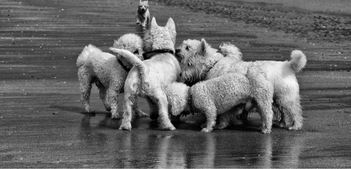 Meest populair | CooleCadeau