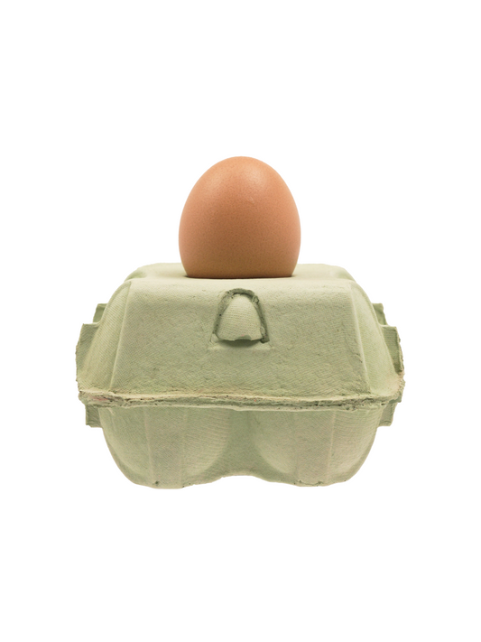 Eierkartonlampe Minze