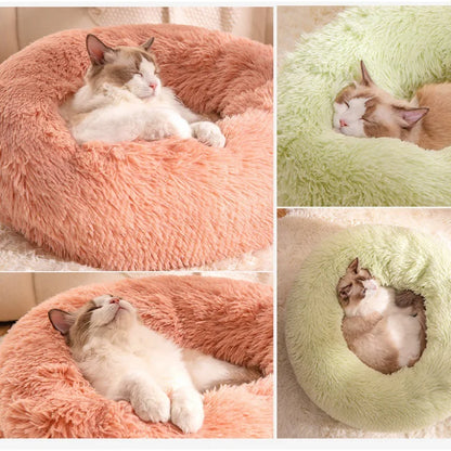 Kattenkussen donut