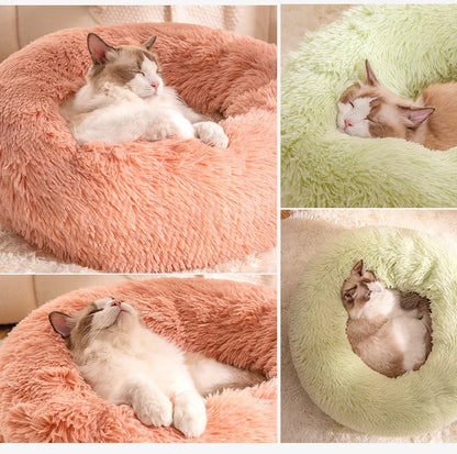 Kattenkussen donut