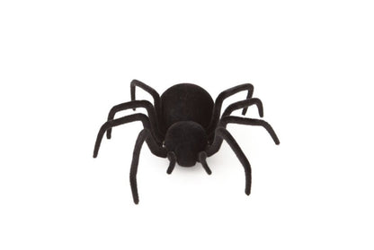 Afstandsbediening Spin - CooleCadeau