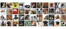 Load image into Gallery viewer, Geheugenspel Honden - CooleCadeau
