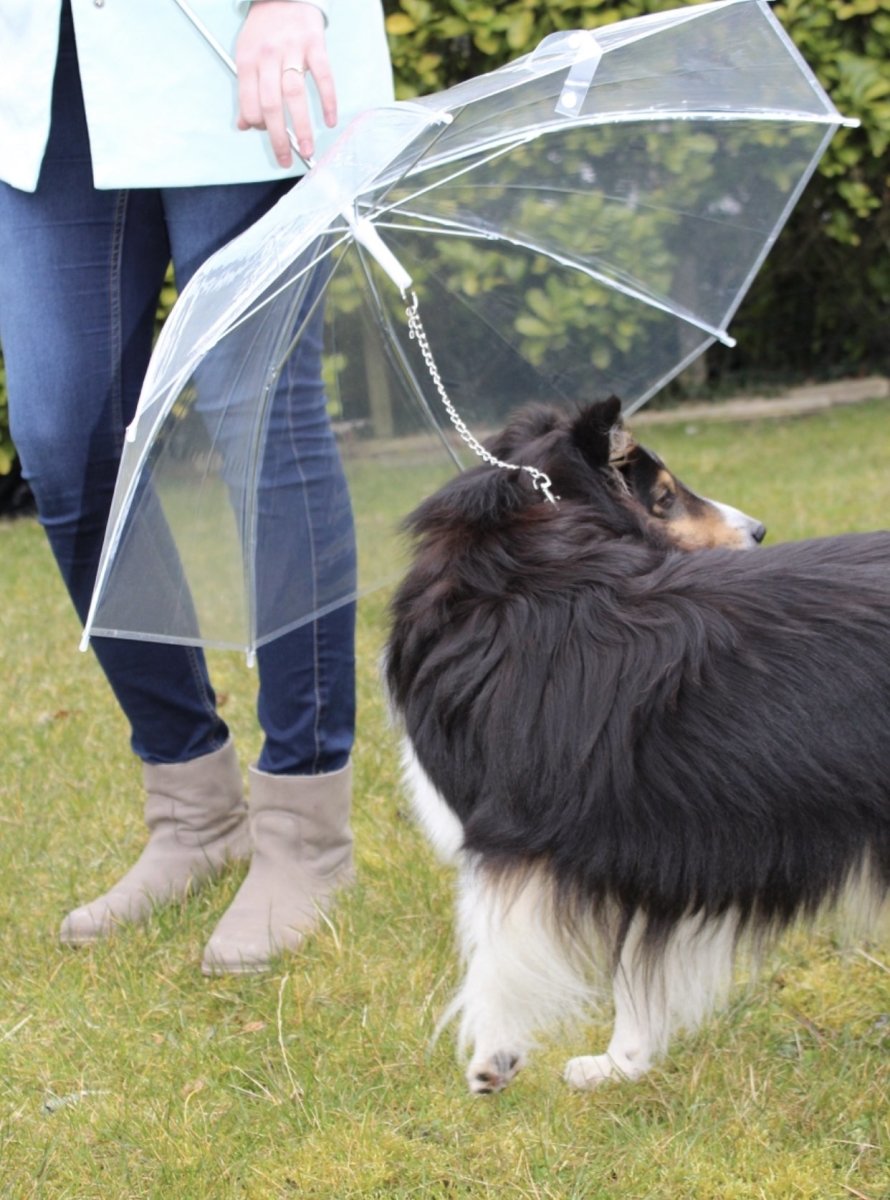 Hondenparaplu - CooleCadeau