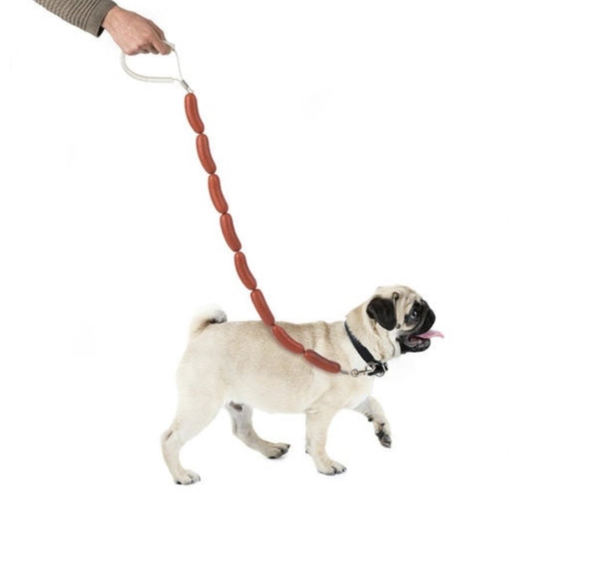 Hondenriem Hot Dog - CooleCadeau