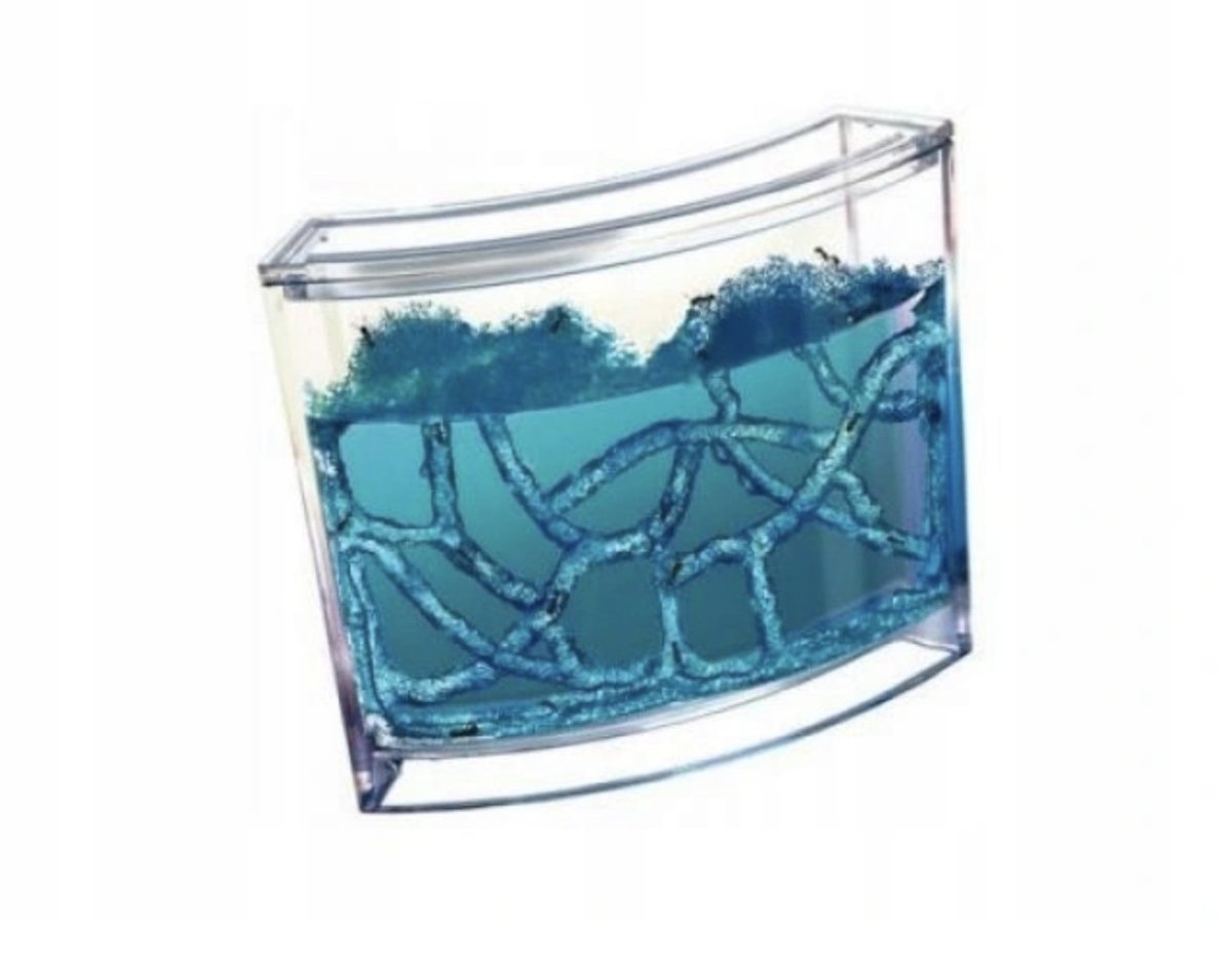 Mieren Aquarium - CooleCadeau