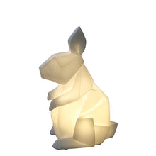 Load image into Gallery viewer, Mini konijn lamp - CooleCadeau
