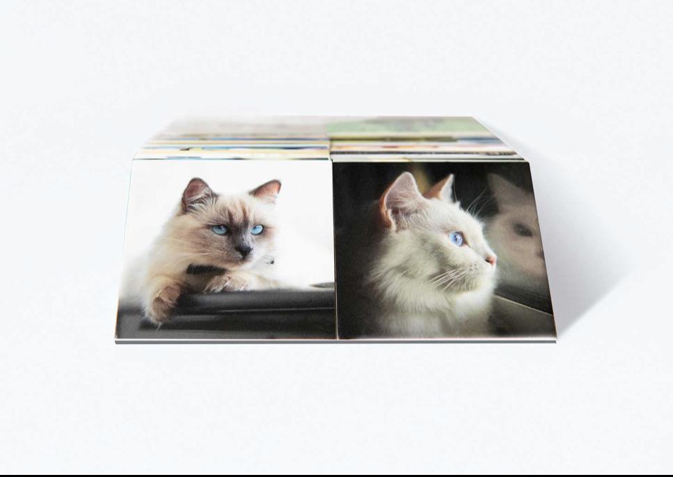 Remember - Memory Game - CooleCadeau